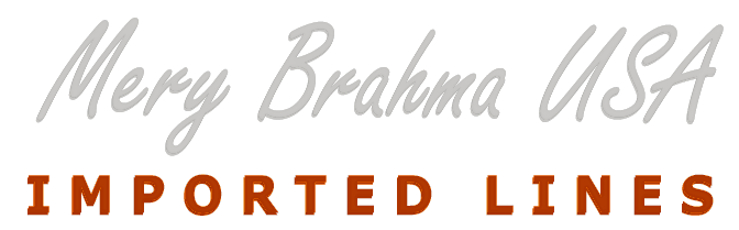 merybrahmausa